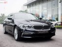 BMW 5 Series 530i Luxury Line 2019 - Bán BMW 530i Luxury Line 2019, màu đen, nhập khẩu