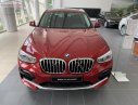 BMW X4 xDrive20i 2019 - Bán xe BMW X4 xDrive20i đời 2019, màu đỏ, xe nhập