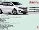 Kia Sedona D 2019 - Bán Sedona Platinum D 2019, mới cùng khuyến mãi siêu hấp dẫn