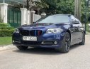 BMW 5 Series 520i 2016 - Bán ô tô BMW 5 Series 520i đời 2016, màu xanh lam, nhập khẩu chính hãng