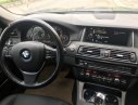 BMW 5 Series 520i 2016 - Bán ô tô BMW 5 Series 520i đời 2016, màu xanh lam, nhập khẩu chính hãng