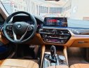 BMW 5 Series 530i 2018 - Cần bán xe BMW 5 Series 530i đời 2018, màu nâu, nhập khẩu