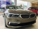 BMW 5 Series 530i 2018 - Cần bán xe BMW 5 Series 530i đời 2018, màu nâu, nhập khẩu