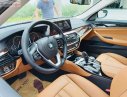 BMW 5 Series 530i 2018 - Cần bán xe BMW 5 Series 530i đời 2018, màu nâu, nhập khẩu