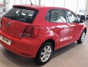 Volkswagen Polo 2016 - Bán Volkswagen Polo năm 2016, màu đỏ, nhập khẩu