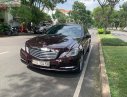 Mercedes-Benz E class E300 2010 - Bán xe Mercedes E300 năm sản xuất 2010, màu nâu, nhập khẩu