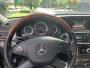 Mercedes-Benz E class E300 2010 - Bán xe Mercedes E300 năm sản xuất 2010, màu nâu, nhập khẩu