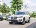 BMW X3 20i 2019 - Bán BMW X3 đời 2019, màu trắng, xe nhập