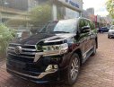 Toyota Land Cruiser VXS   2019 - Bán Toyota Land Cruiser VXS 4 chỗ đời 2020, màu đen, nhập khẩu nguyên chiếc