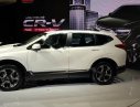 Honda CR V L 2019 - Bán xe Honda CR V L đời 2019, màu trắng, nhập khẩu nguyên chiếc