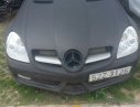 Mercedes-Benz SLK class 350 2004 - Cần bán xe Mercedes SLK 350 mui trần 2004, màu đen nhám