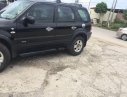 Ford Escape    2003 - Bán Ford Escape sản xuất 2003, 125tr