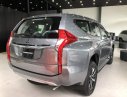 Mitsubishi Pajero 2018 - Bán xe Mitsubishi Pajero năm sản xuất 2018, màu xám, nhập khẩu 