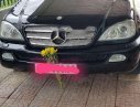 Mercedes-Benz ML Class   ML 320   2002 - Bán Mercedes ML 320 năm sản xuất 2002, màu đen, nhập khẩu số tự động