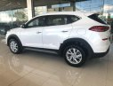 Hyundai Tucson 2019 - Bán Hyundai Tucson đời 2019, mới hoàn toàn