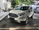Ford EcoSport   2019 - Bán xe Ford EcoSport năm sản xuất 2019, 549tr