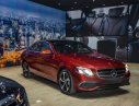 Mercedes-Benz E class  E200 Sport   2019 - Cần bán Mercedes E200 Sport năm 2019, màu đỏ