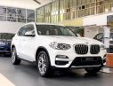 BMW X3 2019 - Bán ô tô BMW X3 sản xuất năm 2019, màu trắng, nhập khẩu