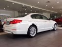 BMW 5 Series  530i  2019 - Bán BMW 5 Series 530i đời 2019, màu trắng, xe nhập