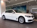 BMW 5 Series  530i  2019 - Bán BMW 5 Series 530i đời 2019, màu trắng, xe nhập