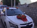 Chevrolet Cruze    LS  2010 - Bán Chevrolet Cruze LS năm 2010, màu trắng, xe rất đẹp và êm