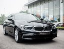 BMW 5 Series 530i  2019 - BMW 530i Luxury Line - Nhập khẩu từ Đức mới 100% - giảm 120 triệu