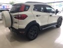 Ford EcoSport Titanium 2015 - Bán Ford EcoSport Titanium đời 2015, màu trắng, 455tr