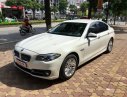 BMW 5 Series 520i 2014 - BMW 520i sản xuất 2014