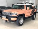 Toyota Fj cruiser 2006 - Cần bán Toyota Fj Cruiser sản xuất năm 2006, màu nâu, nhập khẩu