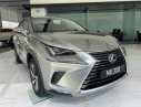 Lexus NX 300 2019 - Bán xe Lexus NX 300 sản xuất 2019, màu vàng, nhập khẩu, sẵn xe giao ngay