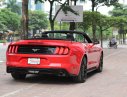 Ford Mustang Convertible 2.3 Ecoboost  2019 - Bán ô tô Ford Mustang Convertible 2.3 Ecoboost đời 2019, màu đỏ, nhập khẩu