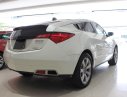 Acura ZDX AWD 2010 - Cần bán ZDX (SH-AW) 2 cầu màu trắng tinh đẹp mê ly 2010