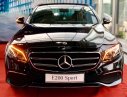 Mercedes-Benz E class  E200 Sport  2019 - Cần bán xe Mercedes E200 Sport đời 2019, màu đen