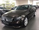 Mercedes-Benz E class   E250   2017 - Mercedes Phú Mỹ Hưng bán Mercedes E250 sản xuất 2017, màu nâu, nhập khẩu