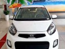 Kia Morning   2019 - Bán Kia Morning sản xuất năm 2019, màu trắng, nhập khẩu