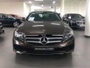 Mercedes-Benz E class   E250   2017 - Mercedes Phú Mỹ Hưng bán Mercedes E250 sản xuất 2017, màu nâu, nhập khẩu