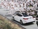 Kia Optima 2019 - Bán ô tô Kia Optima năm 2019, màu trắng, 789 triệu