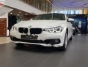 BMW 3 Series 320i 2018 - Cần bán BMW 320i 2018, màu trắng, nhập khẩu