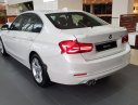 BMW 3 Series 320i 2018 - Cần bán BMW 320i 2018, màu trắng, nhập khẩu