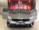 Kia Cerato Standard MT 2019 - Bán Kia Cerato Standard MT năm 2019, màu xám, giá cạnh tranh