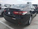 Toyota Camry 2019 - Camry 2.5Q - 1 xe giao ngay trong tháng 8