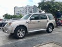 Ford Everest Limited 2012 - Bán Ford Everest Limited năm sản xuất 2012, màu vàng, 550tr