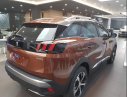 Peugeot 3008 2019 - Bán ô tô Peugeot 3008 sản xuất 2019, màu nâu