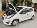 Chevrolet Spark   Van   2017 - Gia đình bán Chevrolet Spark Van đời 2017, màu trắng, nhập khẩu