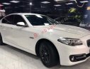 BMW 5 Series 520i 2015 - Bán BMW 5 Series 520i 2015, màu trắng