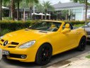 Mercedes-Benz SLK class  SLK350   2008 - Bán Mercedes SLK350 2008, màu vàng, nhập khẩu