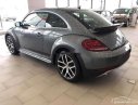 Volkswagen Beetle   Dune  2019 - Bán Volkswagen Beetle Dune năm 2019, màu xám, nhập khẩu  