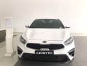 Kia Cerato  2.0 Premium 2019 - Bán xe Kia Cerato 2.0 Premium năm sản xuất 2019, màu trắng, nhập khẩu  