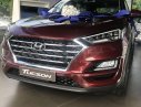 Hyundai Tucson 2019 - Bán xe Hyundai Tucson năm 2019, nhập khẩu, giá 800 triệu đồng