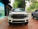 Ford F 150 Limited 2019 - Bán Ford F150 Limited sản xuất 2019, xe nhập Mỹ